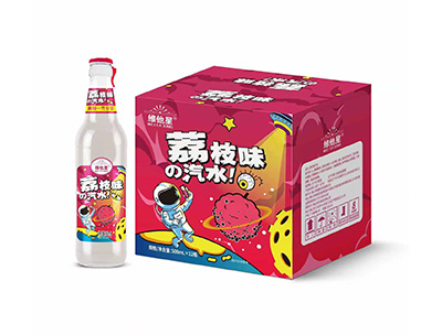 维他星太空汽水荔枝味500ml X12瓶